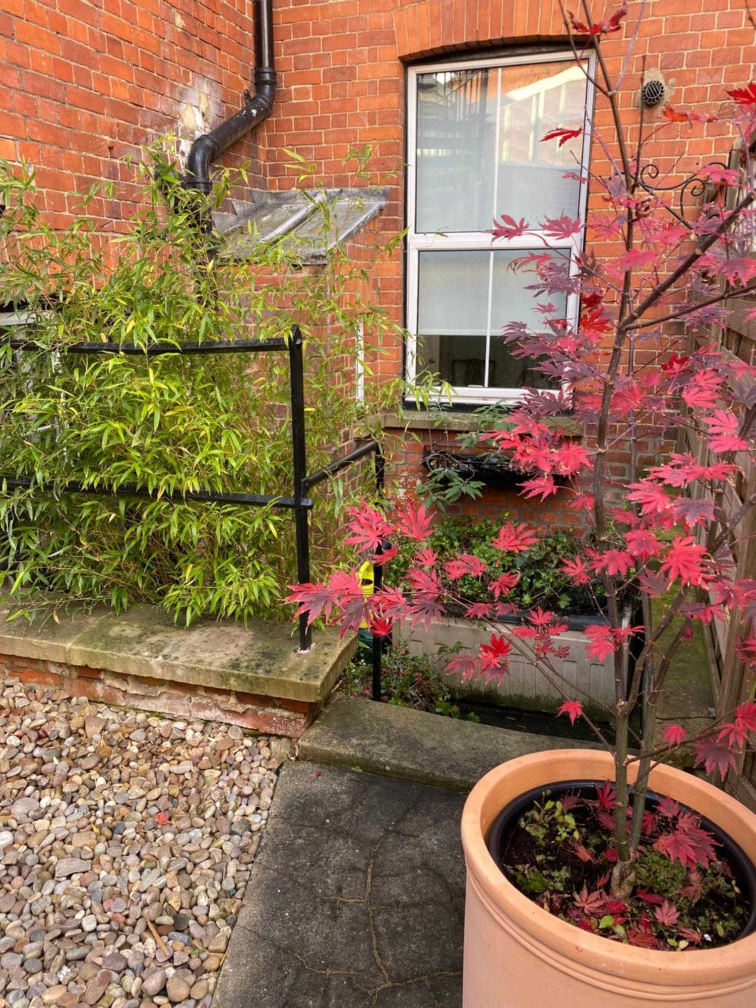 Deluxe Three Bed Bnb In Henley-On-Thames Near Station River & Town Centre Ngoại thất bức ảnh